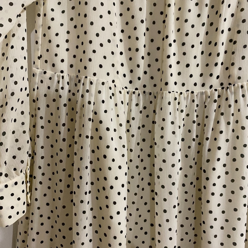 Madewell Polka Dot Midi Dress View 5